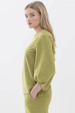  OLIJFGROEN