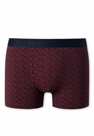 Shorts ROOD