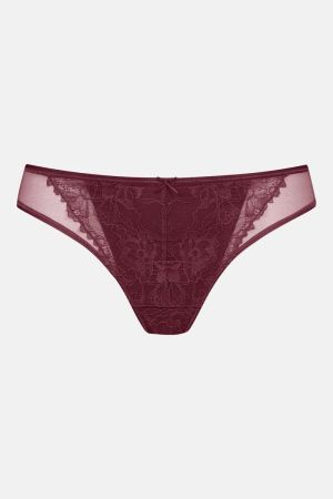 Fabulous slip BOYSENBERRY