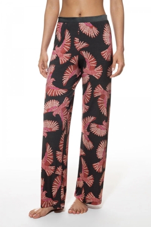 Flying Bird lange broek THUNDER GREY
